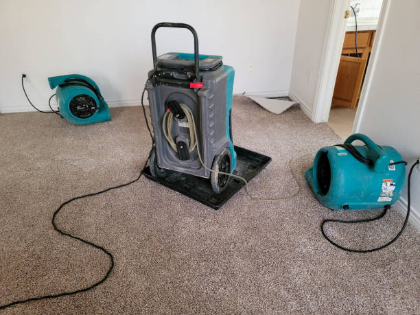 Best Mold removal after water damage  in Gibsonville, NC