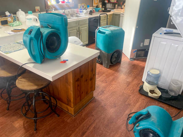 Best Professional water damage repair  in Gibsonville, NC