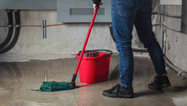 Best Flood damage cleanup  in Gibsonville, NC